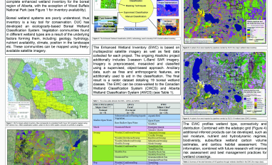 Wetland Mapping Poster Image