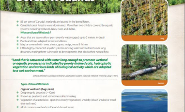 Boreal Wetland Factsheets