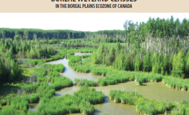 Cover page of the Field Guide