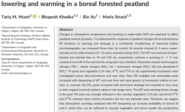 Mineral Nitrogen and Phosphorus Pools Affected by Water Table 