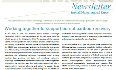 Cover page of NBCKC Newsletter #5 - June 2019_Annual report