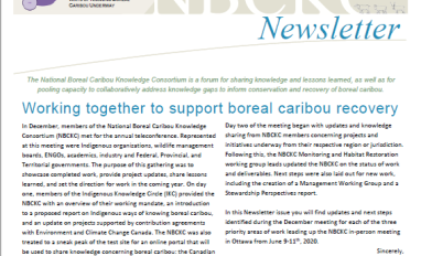 Cover page of NBCKC Newsletter #6 - December 2019 (EN)