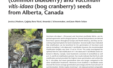 Effects of Cold Stratification