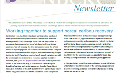 Cover page of NBCKC Newsletter #7 - February 2020 (EN)