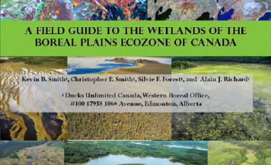Ducks Unlimited Canada Enhanced Wetland Field Guide Cover