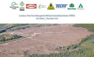 DUC Guiding Principles Practitioner Guide Cover