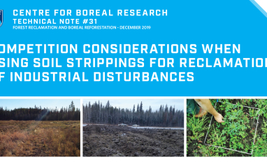  Competition Considerations When Using Soil Strippings Title