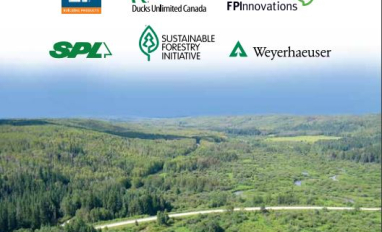 Operational Guide for Forest Road Wetland Crossings Cover