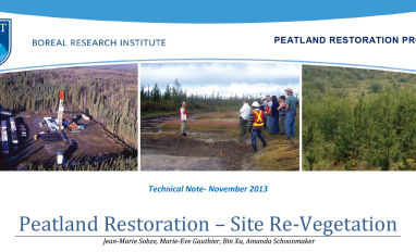 Peatland Site Revegetation Title