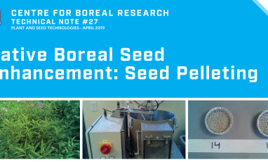 Seed Pelleting Title
