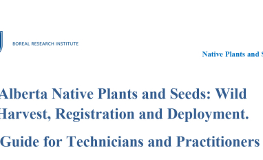 Wild Harvest, Registration and Deployment