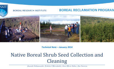  Harvesting and Cleaning Fleshy Shrub Seed for Reclamation Title