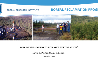 Soil_Bioengineering_for_Site_Restoration-Title