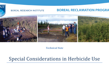 Special Considerations in Herbicide Use 