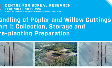 Handling of Poplar and Willow Cuttings Part 1