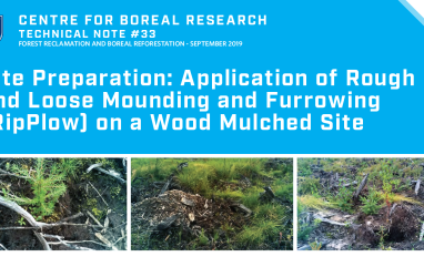 Rough and Loose Title