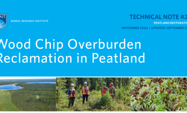 Wood Chip Overburden Title