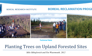 Woody_Vegetation_Establishment-Title