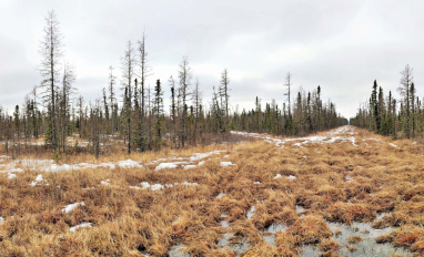 Hummock Transfer Site Reclaim