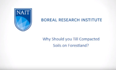 The Importance of Tilling Compacted Forest Soil