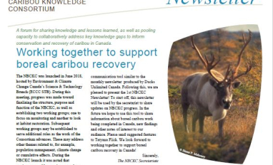 Newsletter front page