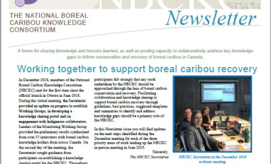 Newsletter front page