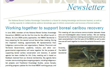 Newsletter front page