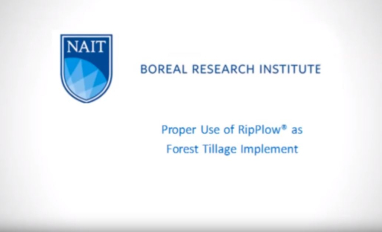How to Use a RipPlow in Forest Reclamation