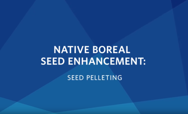 Seed Pelleting Video