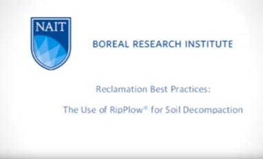 Using a RipPlow for Soil Decompaction in Forestry Reclamation