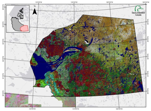 Wetland Maps