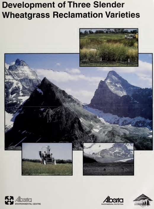 Report cover page
