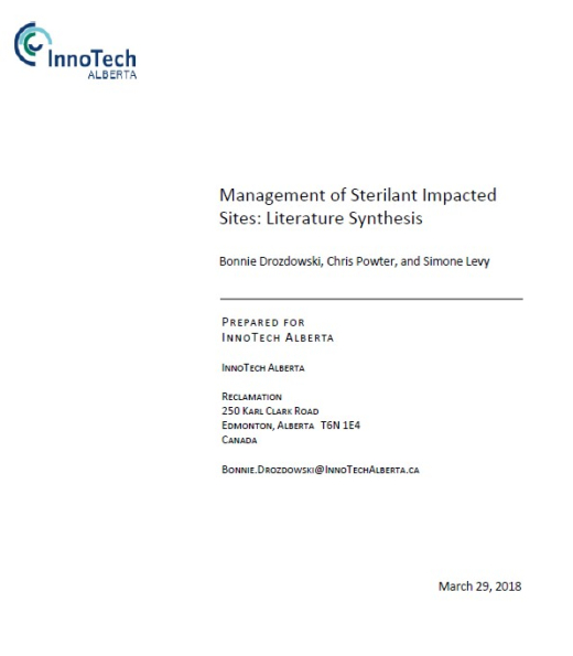 Report cover page