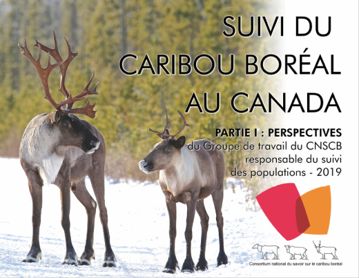 image de la page de couverture du rapport 