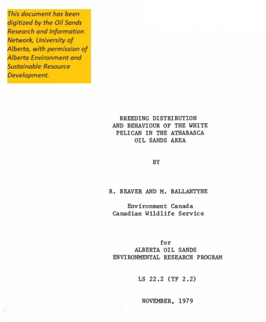Report cover page