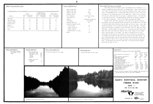 Report cover page