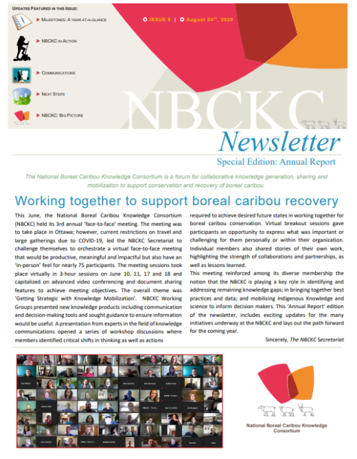Screenshot of the cover page of the newsletter