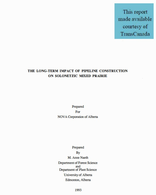 Report cover page