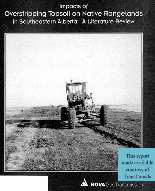 Report cover page