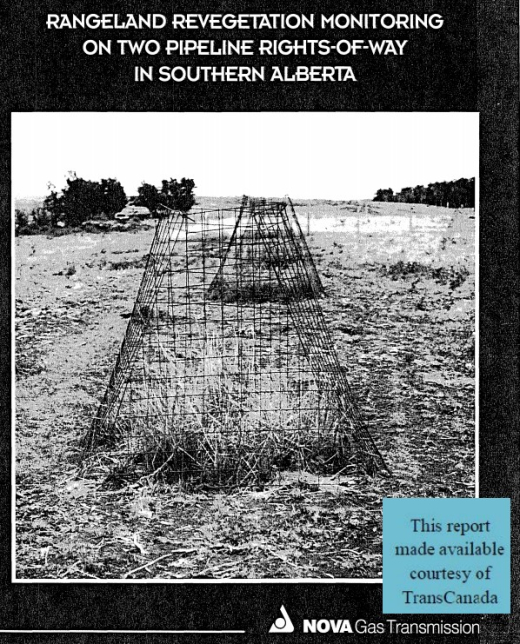 Report cover page