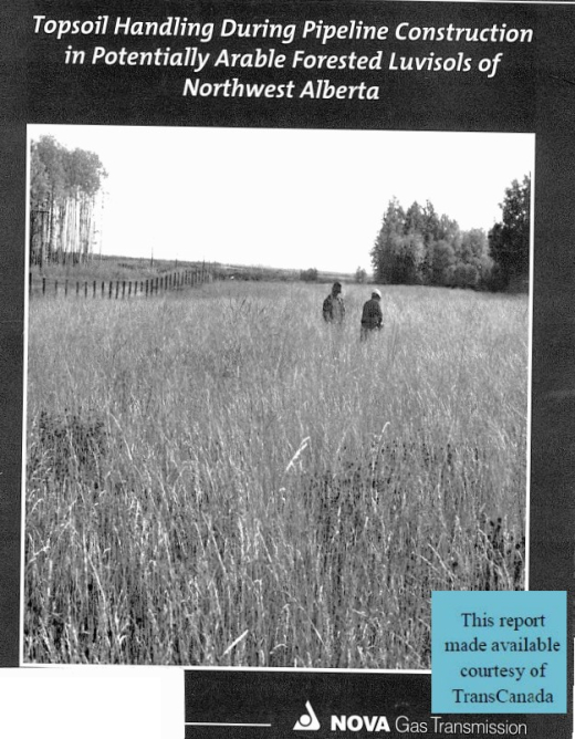 Report cover page