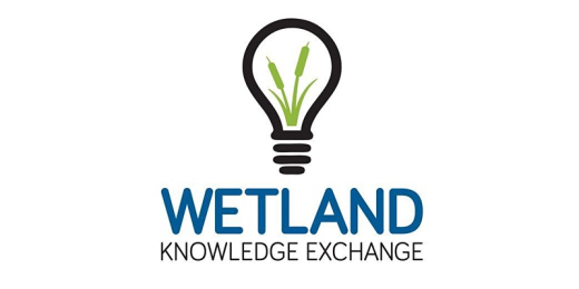 new logo