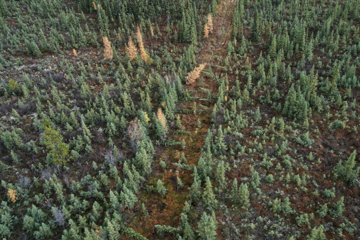 Kotcho Lake restoration Area - FNFN - Ryan Dickie
