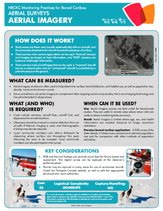 Screenshot of the factsheet 