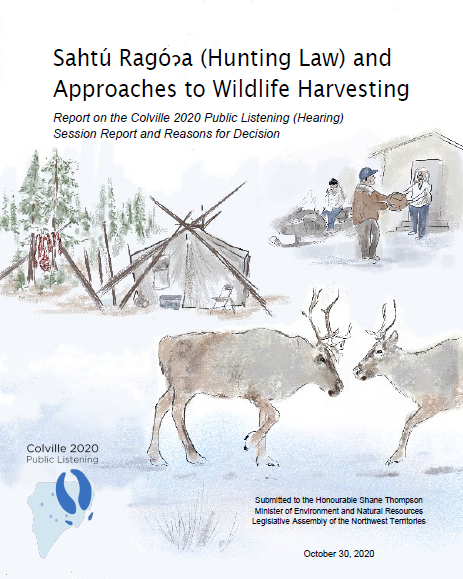 Report Cover Page