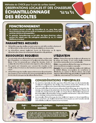 prise d'ecran 