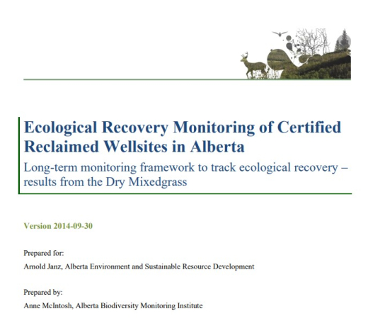 Report cover page