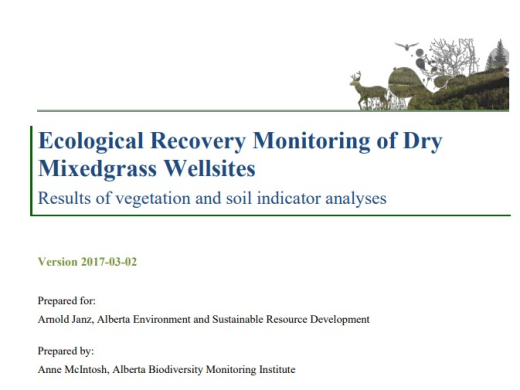 Report cover