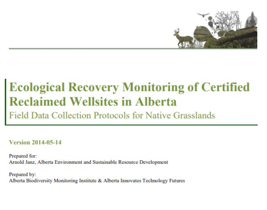 Report cover