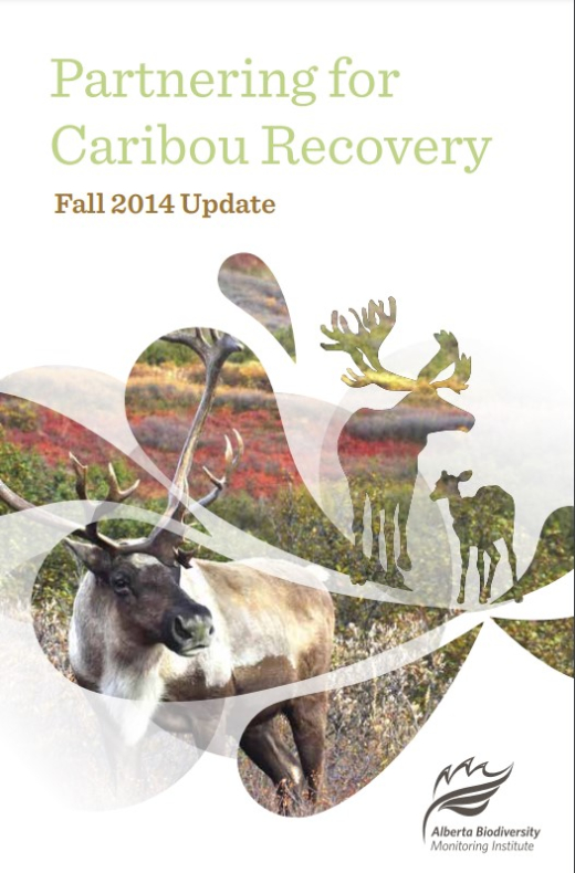 Report cover page